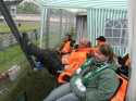 Bild 36