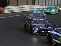 VLN 2026 0006