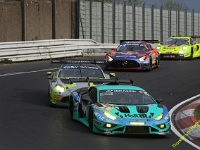 VLN 2026 0008