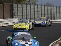 VLN 2026 0038