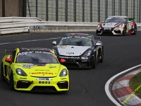 VLN 2026 0056