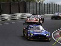 VLN 2026 0008