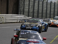 VLN 2026 0031