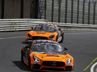 VLN 2026 0085